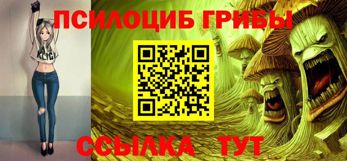 Галлюциногенные грибы Psilocybine cubensis  Галлюциногенные грибы Magic Shrooms  Краснознаменск  Вход с VPN 